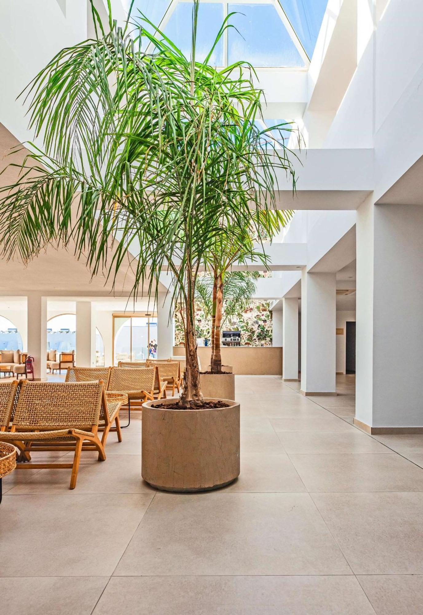 Blue Sea Island 4* Kolymbia